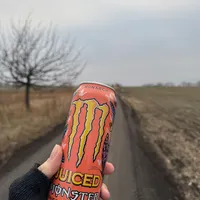 Monster juiced monarch