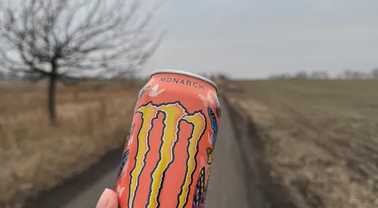 Monster juiced monarch