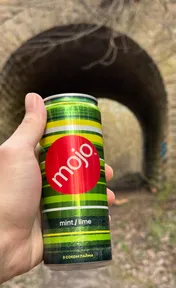 Mojo mint-lime