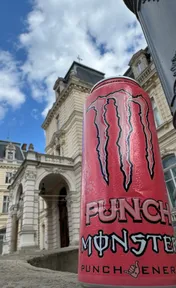 Monster juiced pipeline punch