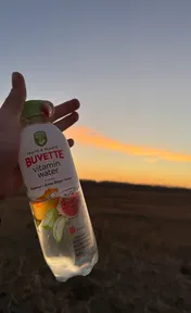 Buvette Vitamin Water абрикос інжир