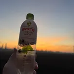 Buvette Vitamin Water чорна смородина+мʼята