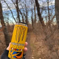 Monster the doctor