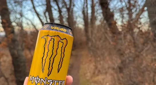 Monster the doctor