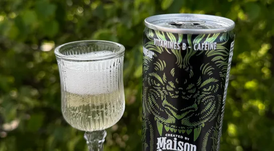 Maison perrier energize citron & citron vert