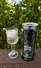 Maison perrier energize citron & citron vert