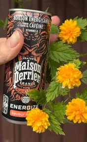 Maison perrier energize peche
