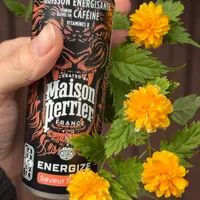 Maison perrier energize peche