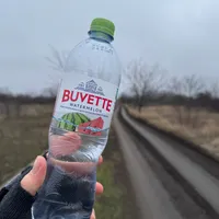 Buvette Watermelon Water