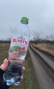 Buvette Watermelon Water