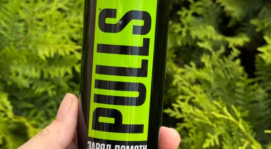 Pulls заряд помсти