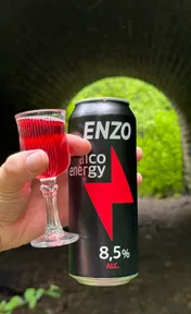 Enzo alco energy
