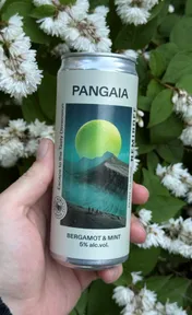 Pangaia bergamot&mint
