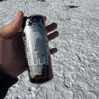 Pitbull silver