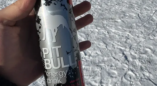 Pitbull silver
