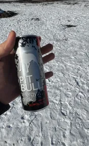 Pitbull silver