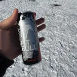 Pitbull silver