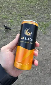 28 black sour mango kiwi