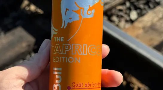 Redbull apricot edition