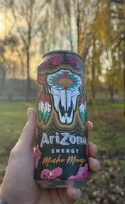 Arizona energy mucho mango