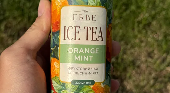 Erbe ice tea orange mint