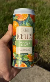 Erbe ice tea orange mint