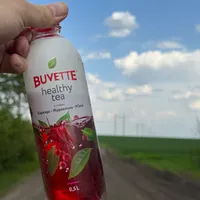 Buvette Healthy Tea каркаде журавлина мʼята