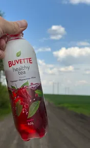 Buvette Healthy Tea каркаде журавлина мʼята
