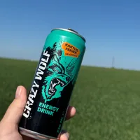 Crazy wolf blue kaktus-feigen