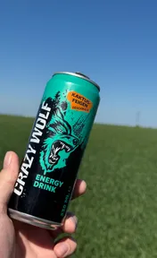 Crazy wolf blue kaktus-feigen