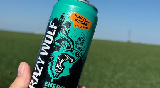 Crazy wolf blue kaktus-feigen