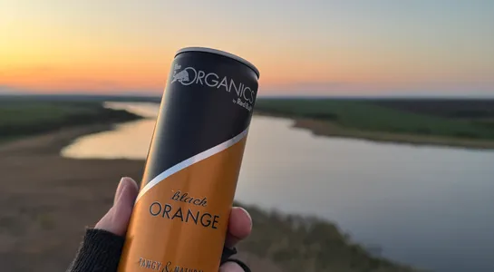 Redbull organics black orange
