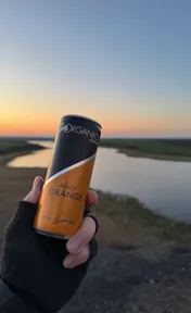 Redbull organics black orange