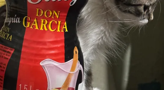 Sangria Don Garcia