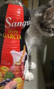 Sangria Don Garcia