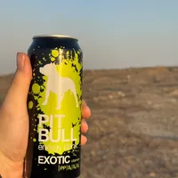 Pitbull exotic