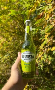 Solveza Mojito