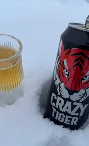 Crazy tiger