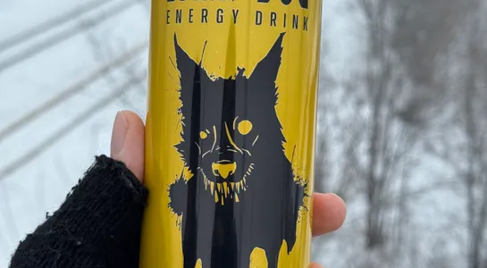 Dark dog