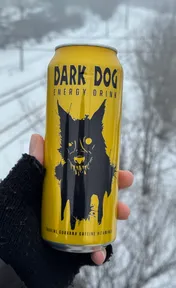 Dark dog