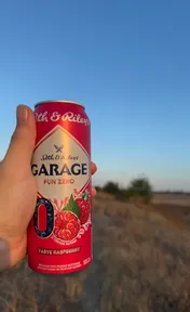 Garage zero raspberry