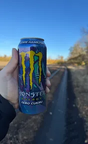 Monster lewis hamilton