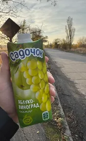 Садочок яблуко-виноград