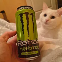 Monster rehab green tea