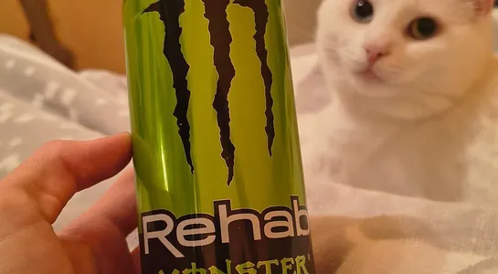 Monster rehab green tea