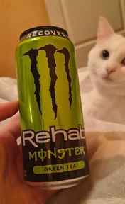 Monster rehab green tea