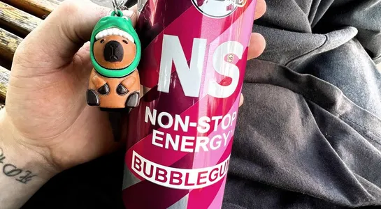 NS BUBBLEGUM (cvrslxrd)